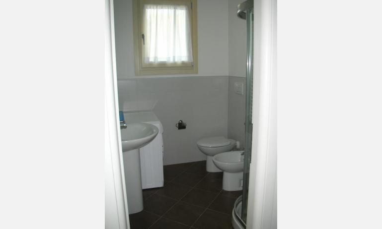 résidence LE PALME: C6 - salle de bain avec lave-linge (exemple)