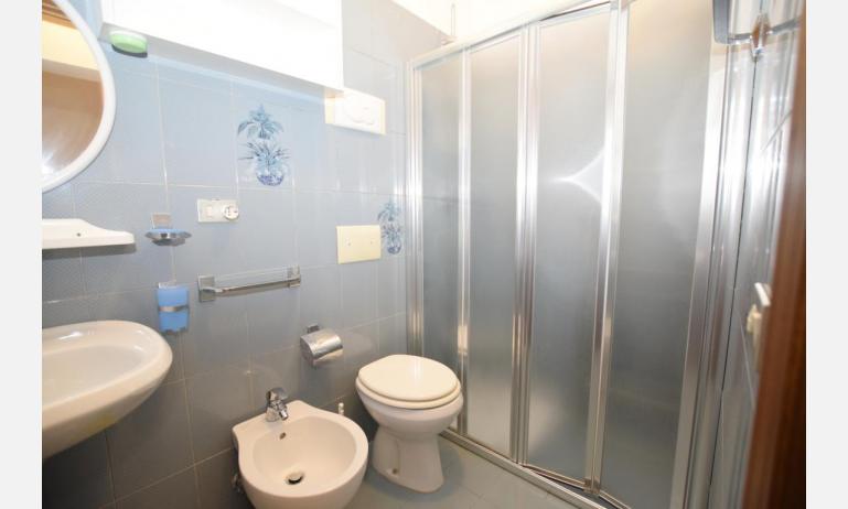 appartamenti VILLA FIORE CARINZIA: B4 - bagno con box doccia (esempio)