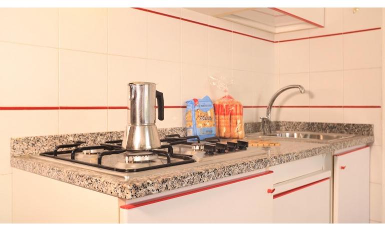 apartments BILOBA: B4/1 - kitchenette (example)