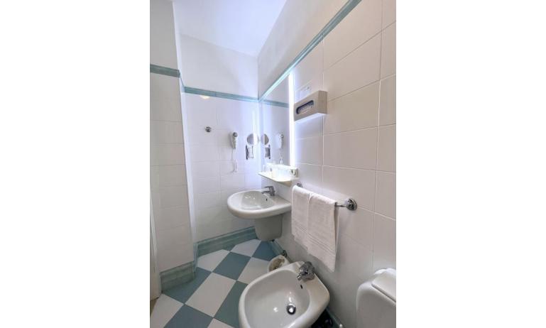 hotel ALEMAGNA: Matrimoniale - bagno con box doccia (esempio)