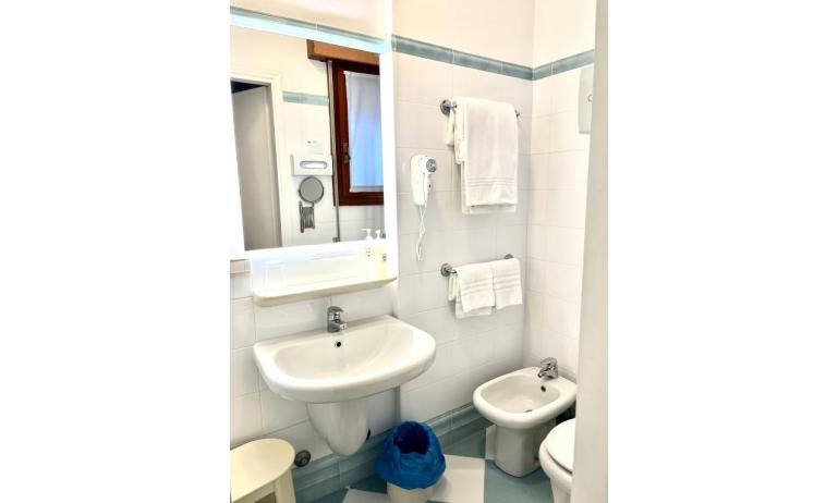 hotel ALEMAGNA: Matrimoniale - bagno con box doccia (esempio)