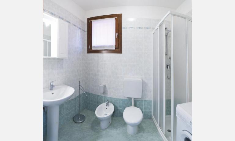 residence VILLAGGIO DEI FIORI: A4 - bagno con box doccia (esempio)