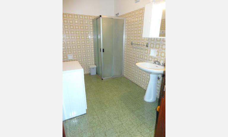 appartamenti ACAPULCO: B5 - bagno con box doccia (esempio)
