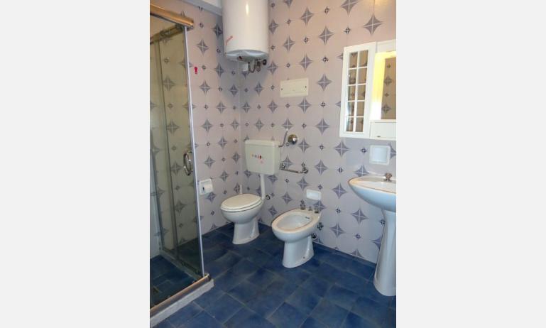 appartamenti AURORA: B6 - bagno con box doccia (esempio)