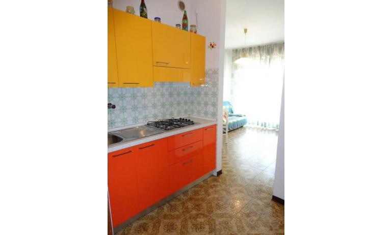 apartments MARCO POLO: B5 - kitchenette (example)